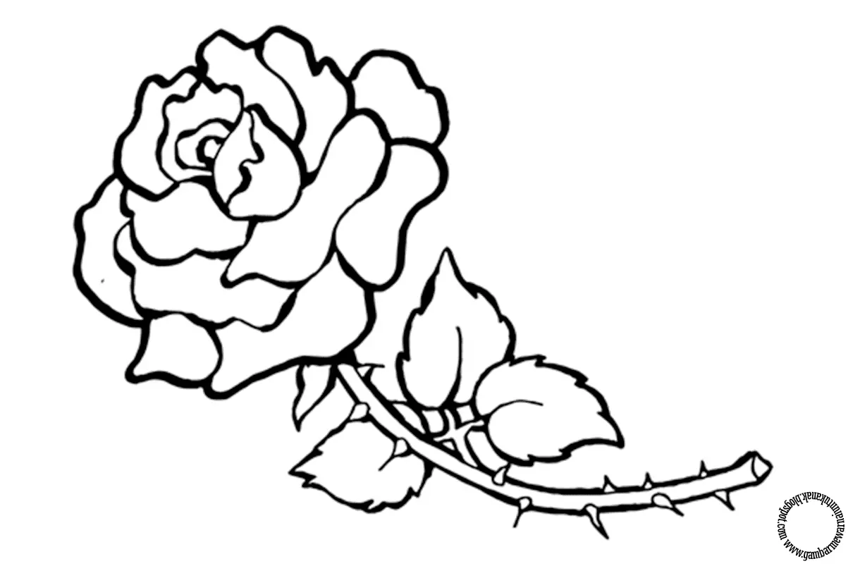 Panduan Lengkap: Cara Mewarnai Gambar Bunga Mawar untuk Pemula