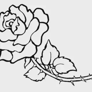 Panduan Lengkap: Cara Mewarnai Gambar Bunga Mawar untuk Pemula