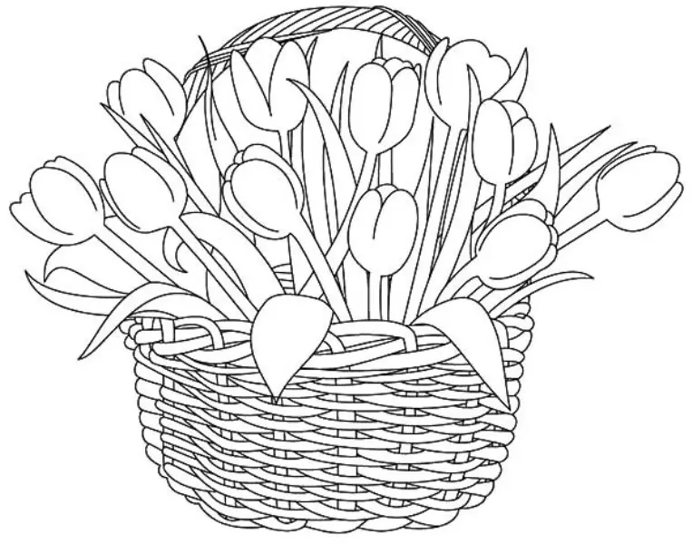 Kreasi Warnai Gambar Bunga Tulip bagi Pemula: Tips & Langkah Mudah!