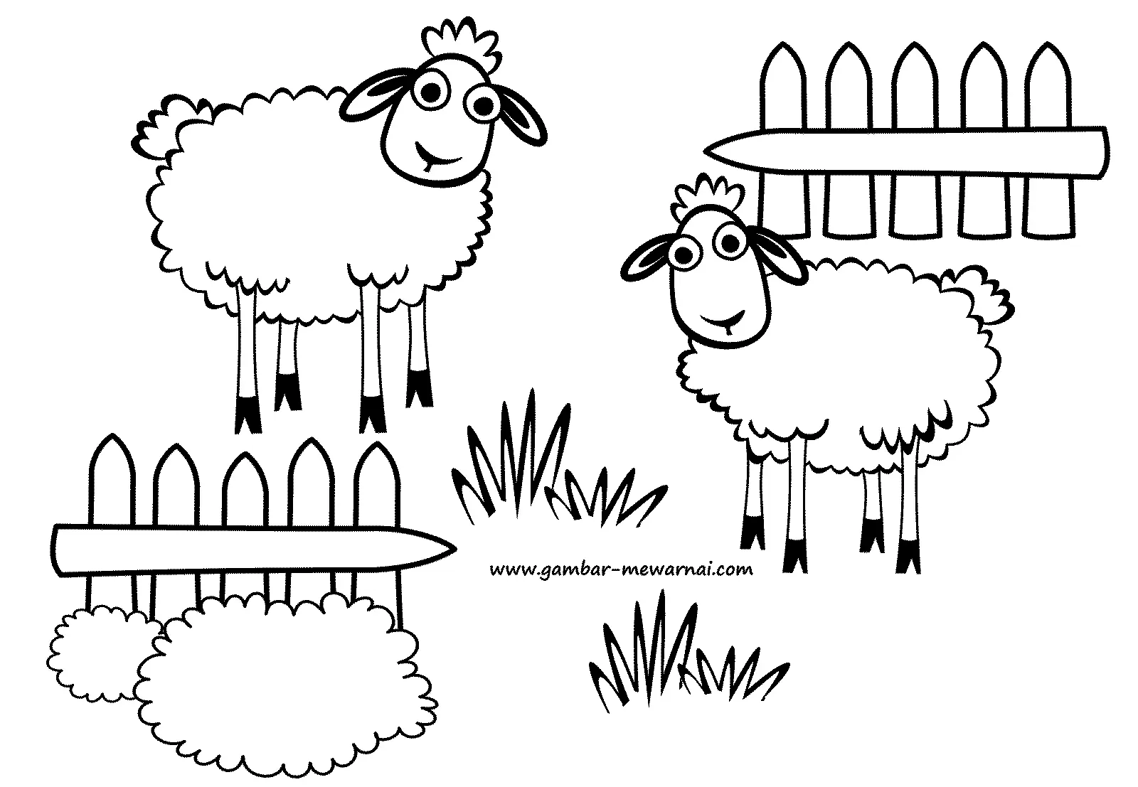 Cara Mewarnai Gambar Domba: Panduan Lengkap Untuk Pemula!