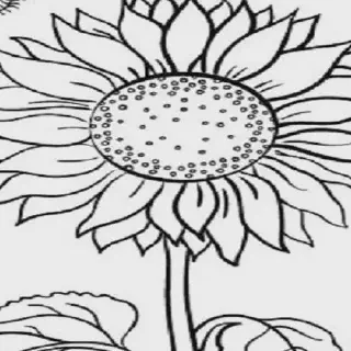 Contoh Gambar Mewarnai Bunga Matahari - Bermain Sambil Belajar