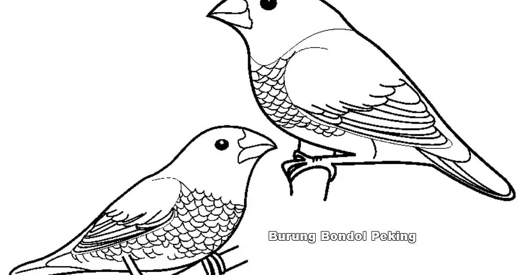 10 Contoh Gambar Mewarnai Burung yang Mudah untuk Pemula