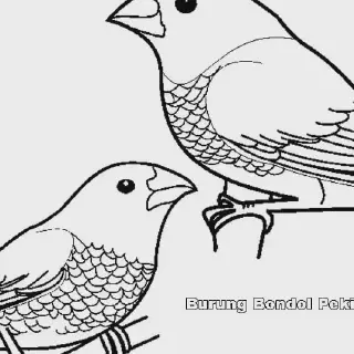 10 Contoh Gambar Mewarnai Burung yang Mudah untuk Pemula