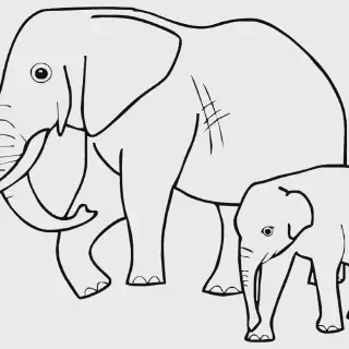 Contoh Mewarnai Gambar Gajah yang Mudah dan Menyenangkan untuk Pemula di Rumah