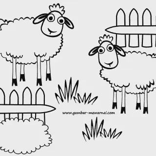 10 Gambar Mewarnai Domba Lucu dan Menggemaskan untuk Anak-Anak
