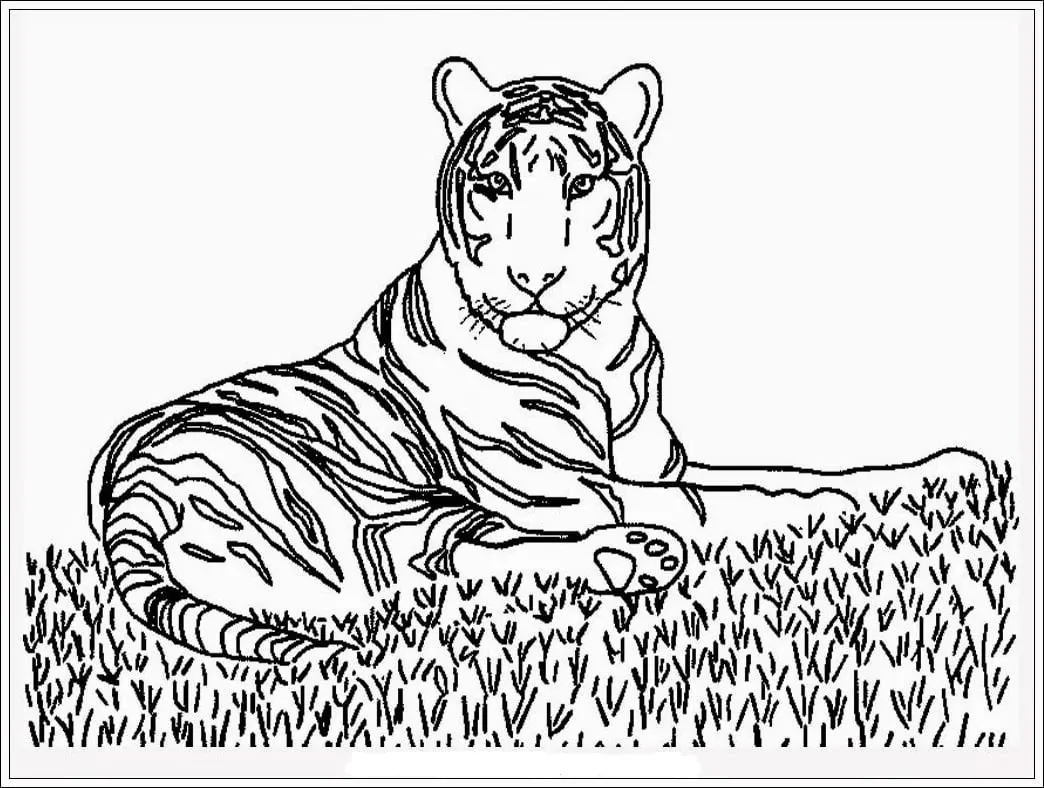 8 Gambar Mewarnai Binatang Harimau yang Lucu dan Seru untuk Anak-Anak