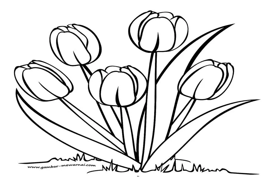 Mewarnai Bunga Tulip: Cara Mudah dan Seru dengan Gambar Mewarnai Bunga Tulip di Rumah