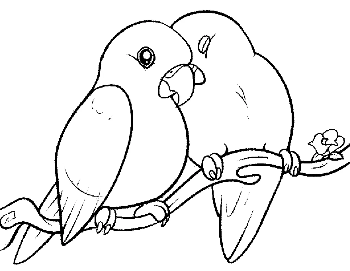 Inilah Panduan Lengkap untuk Gambar Mewarnai Burung Lovebird yang Lucu dan Menggemaskan