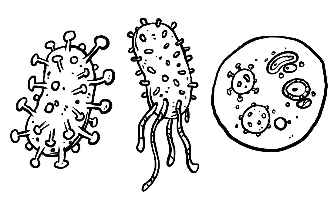 Belajar Mewarnai Tentang Virus Corona Untuk Anak SD: Gambar Mewarnai yang Lucu dan Edukatif