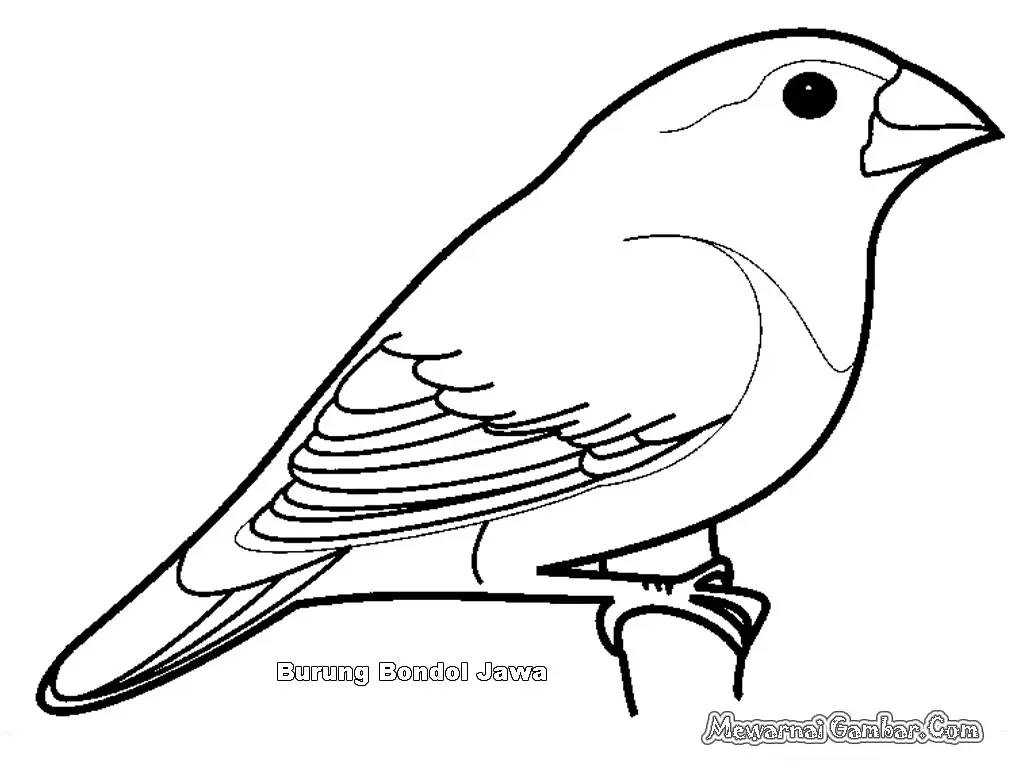 Tips dan Trik Mewarnai Gambar Burung Kenari untuk Pemula